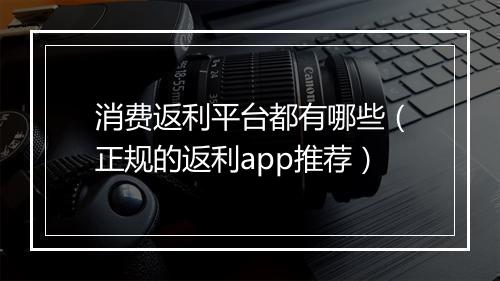 消费返利平台都有哪些（正规的返利app推荐）
