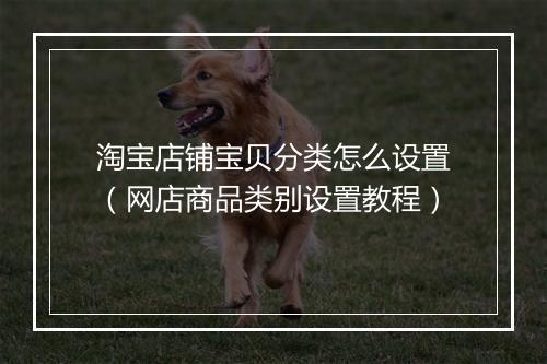 淘宝店铺宝贝分类怎么设置（网店商品类别设置教程）