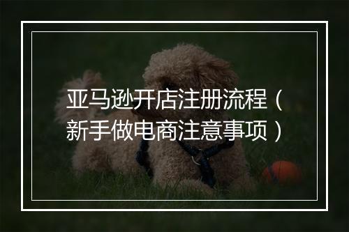 亚马逊开店注册流程（新手做电商注意事项）