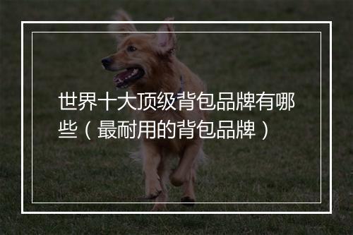 世界十大顶级背包品牌有哪些（最耐用的背包品牌）