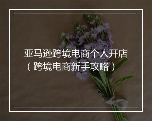 亚马逊跨境电商个人开店（跨境电商新手攻略）