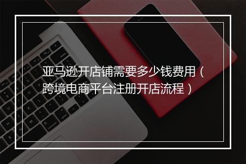 亚马逊开店铺需要多少钱费用（跨境电商平台注册开店流程）