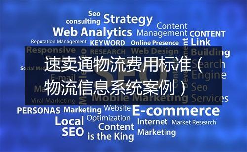 速卖通物流费用标准（物流信息系统案例）