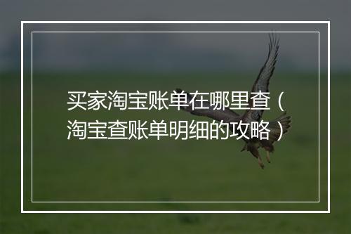 买家淘宝账单在哪里查（淘宝查账单明细的攻略）