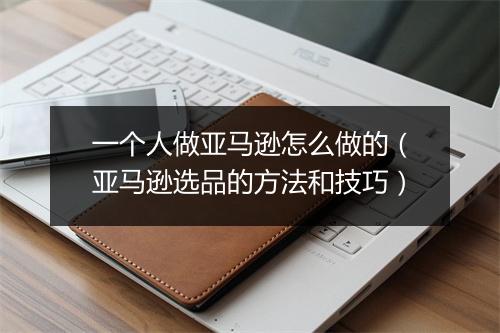 一个人做亚马逊怎么做的（亚马逊选品的方法和技巧）