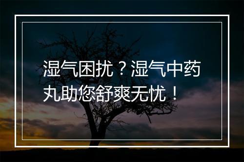 湿气困扰？湿气中药丸助您舒爽无忧！