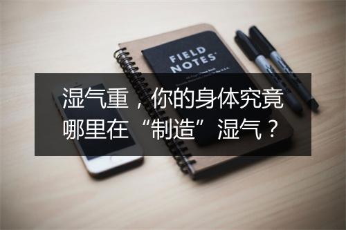 湿气重，你的身体究竟哪里在“制造”湿气？
