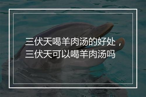 三伏天喝羊肉汤的好处，三伏天可以喝羊肉汤吗