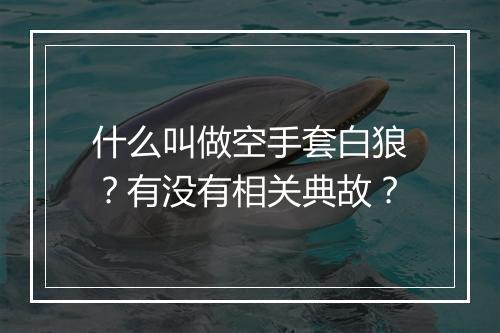 什么叫做空手套白狼？有没有相关典故？