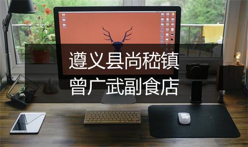 遵义县尚嵇镇曾广武副食店
