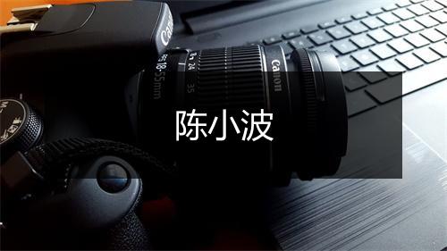 陈小波