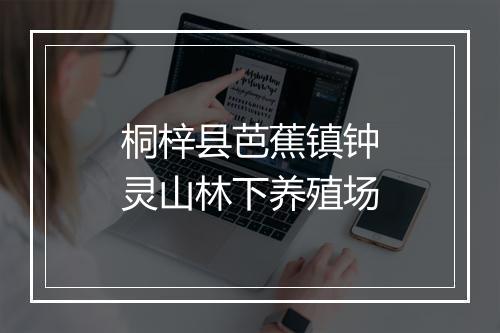 桐梓县芭蕉镇钟灵山林下养殖场