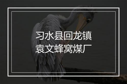习水县回龙镇袁文蜂窝煤厂