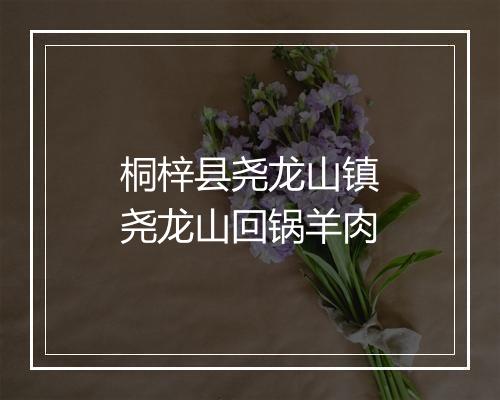 桐梓县尧龙山镇尧龙山回锅羊肉