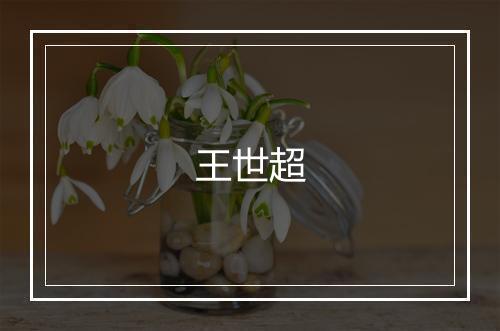 王世超