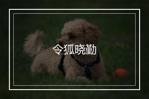 令狐晓勤