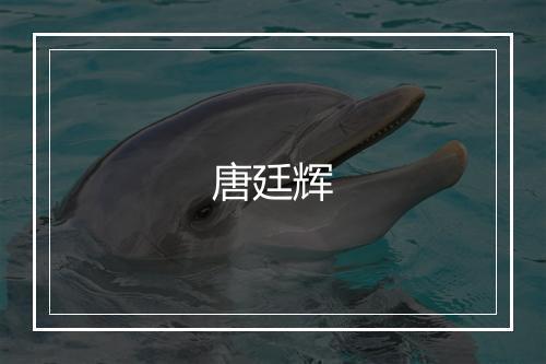 唐廷辉