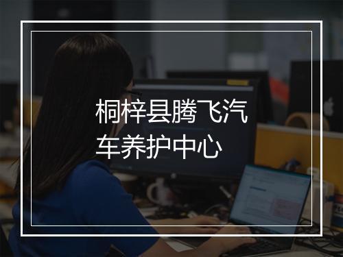 桐梓县腾飞汽车养护中心