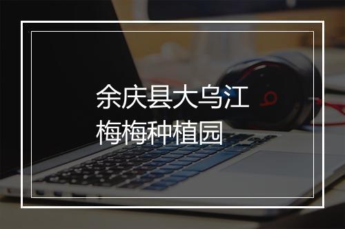 余庆县大乌江梅梅种植园