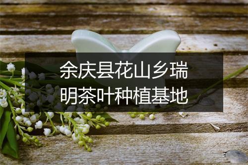 余庆县花山乡瑞明茶叶种植基地