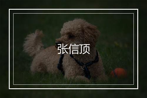 张信顶