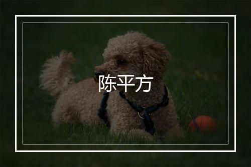 陈平方