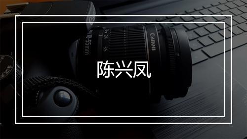 陈兴凤