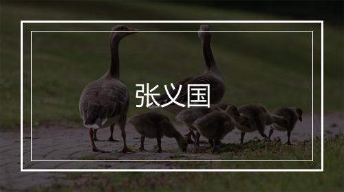 张义国