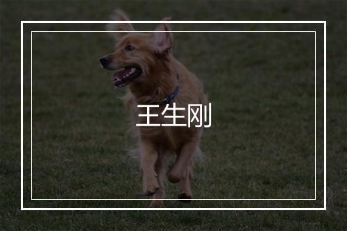 王生刚
