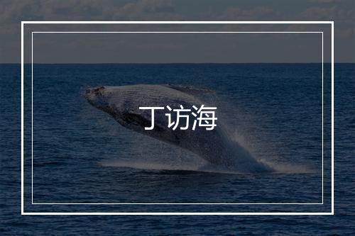 丁访海