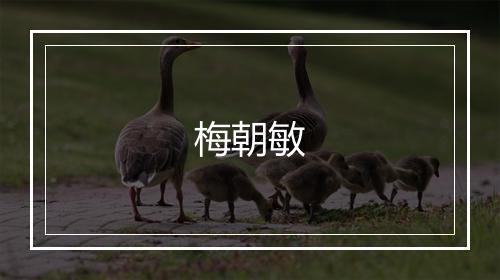 梅朝敏