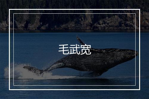 毛武宽