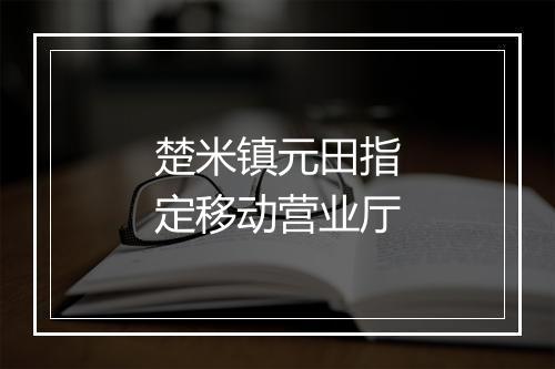 楚米镇元田指定移动营业厅