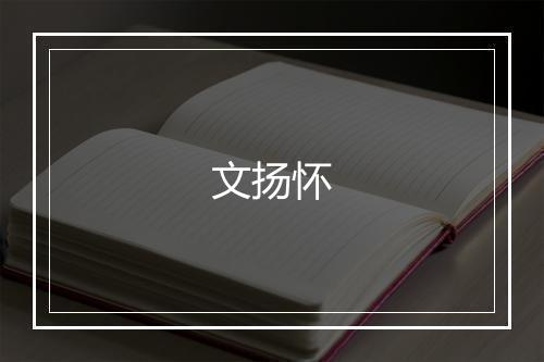 文扬怀