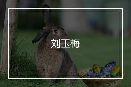 刘玉梅