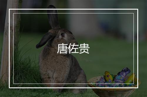 唐佐贵