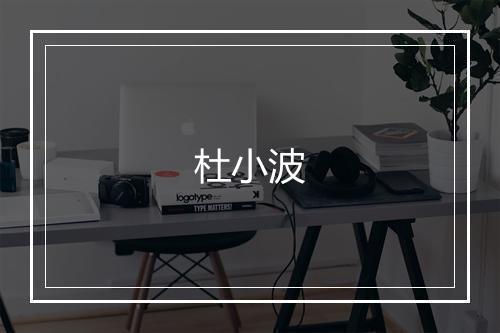 杜小波