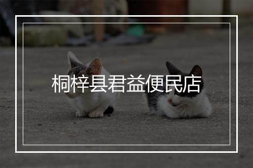 桐梓县君益便民店