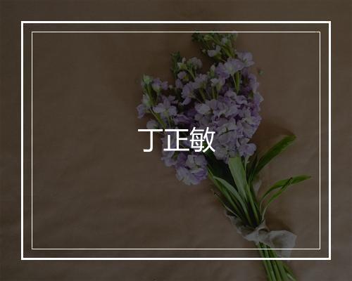 丁正敏