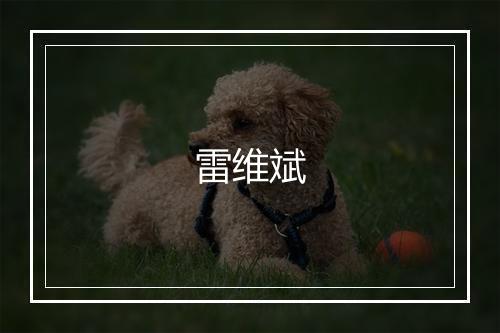 雷维斌