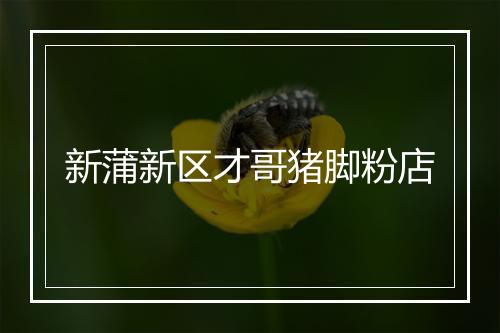 新蒲新区才哥猪脚粉店