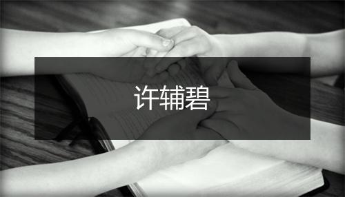 许辅碧