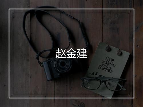 赵金建
