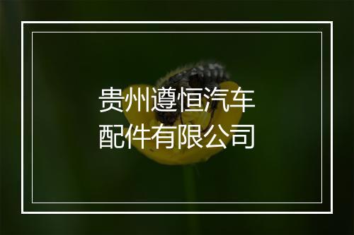 贵州遵恒汽车配件有限公司