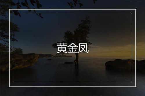 黄金凤