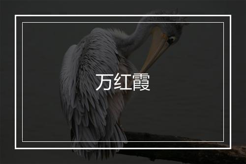 万红霞