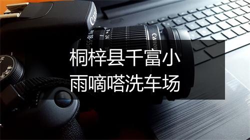 桐梓县千富小雨嘀嗒洗车场