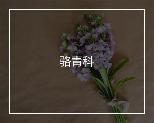 骆青科