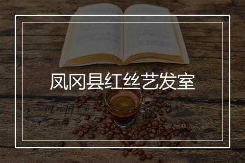 凤冈县红丝艺发室
