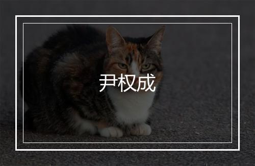 尹权成